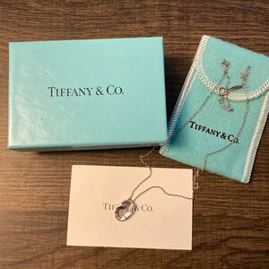 Tiffany & Co Elsa Peretti silver zodiac necklace - Scorpio